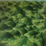The Border Land&nbsp;&copy;&nbsp;2026&nbsp;Lynda Jones